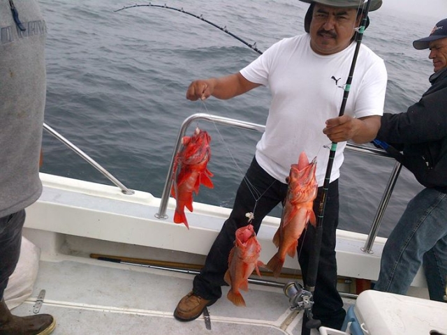 Pesca del día 